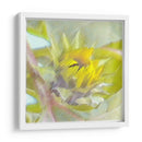 Botón - Imaghinario | Cuadro decorativo de Canvas Lab