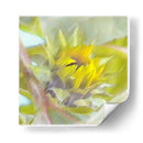 Botón - Imaghinario | Cuadro decorativo de Canvas Lab