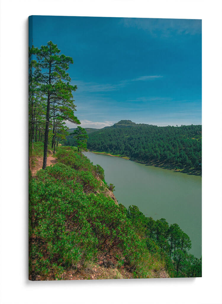 Presa Situriachi - Enrique Estrada | Cuadro decorativo de Canvas Lab
