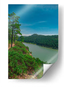 Presa Situriachi - Enrique Estrada | Cuadro decorativo de Canvas Lab