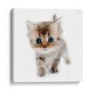 Mini4 - Imaghinario | Cuadro decorativo de Canvas Lab