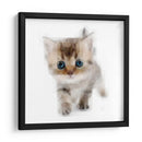 Mini4 - Imaghinario | Cuadro decorativo de Canvas Lab