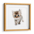 Mini4 - Imaghinario | Cuadro decorativo de Canvas Lab