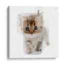 Mini5 - Imaghinario | Cuadro decorativo de Canvas Lab