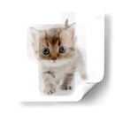 Mini5 - Imaghinario | Cuadro decorativo de Canvas Lab