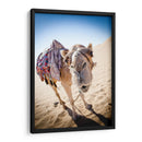 Hola camello | Cuadro decorativo de Canvas Lab