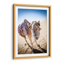 Hola camello | Cuadro decorativo de Canvas Lab