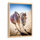 Hola camello | Cuadro decorativo de Canvas Lab