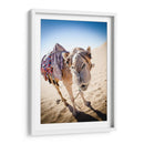Hola camello | Cuadro decorativo de Canvas Lab