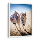Hola camello | Cuadro decorativo de Canvas Lab
