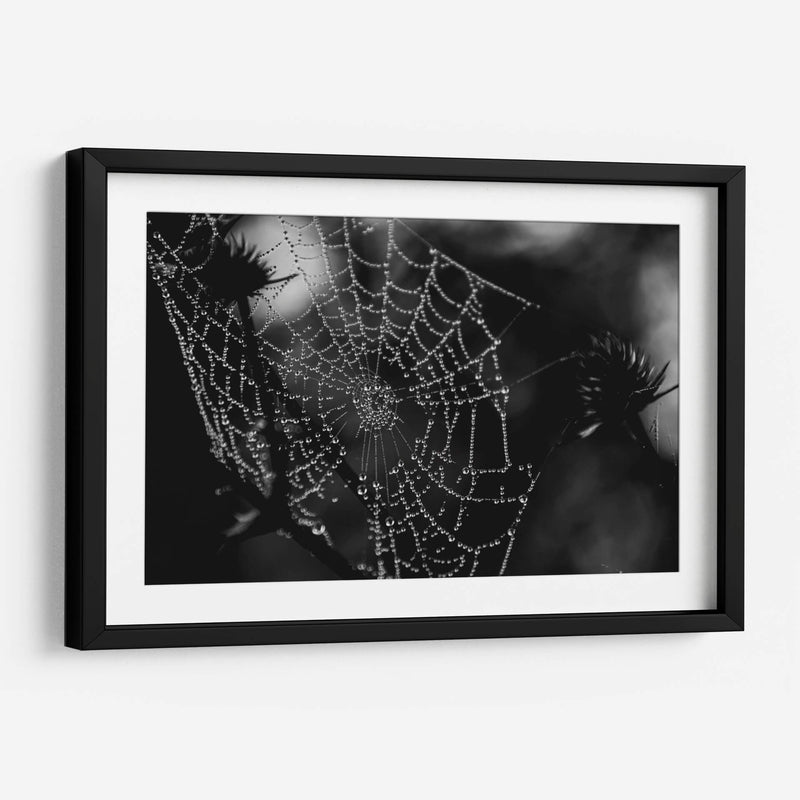 Telaraña BN - HCTR | Cuadro decorativo de Canvas Lab