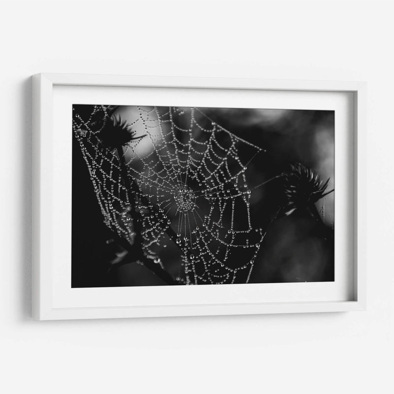 Telaraña BN - HCTR | Cuadro decorativo de Canvas Lab