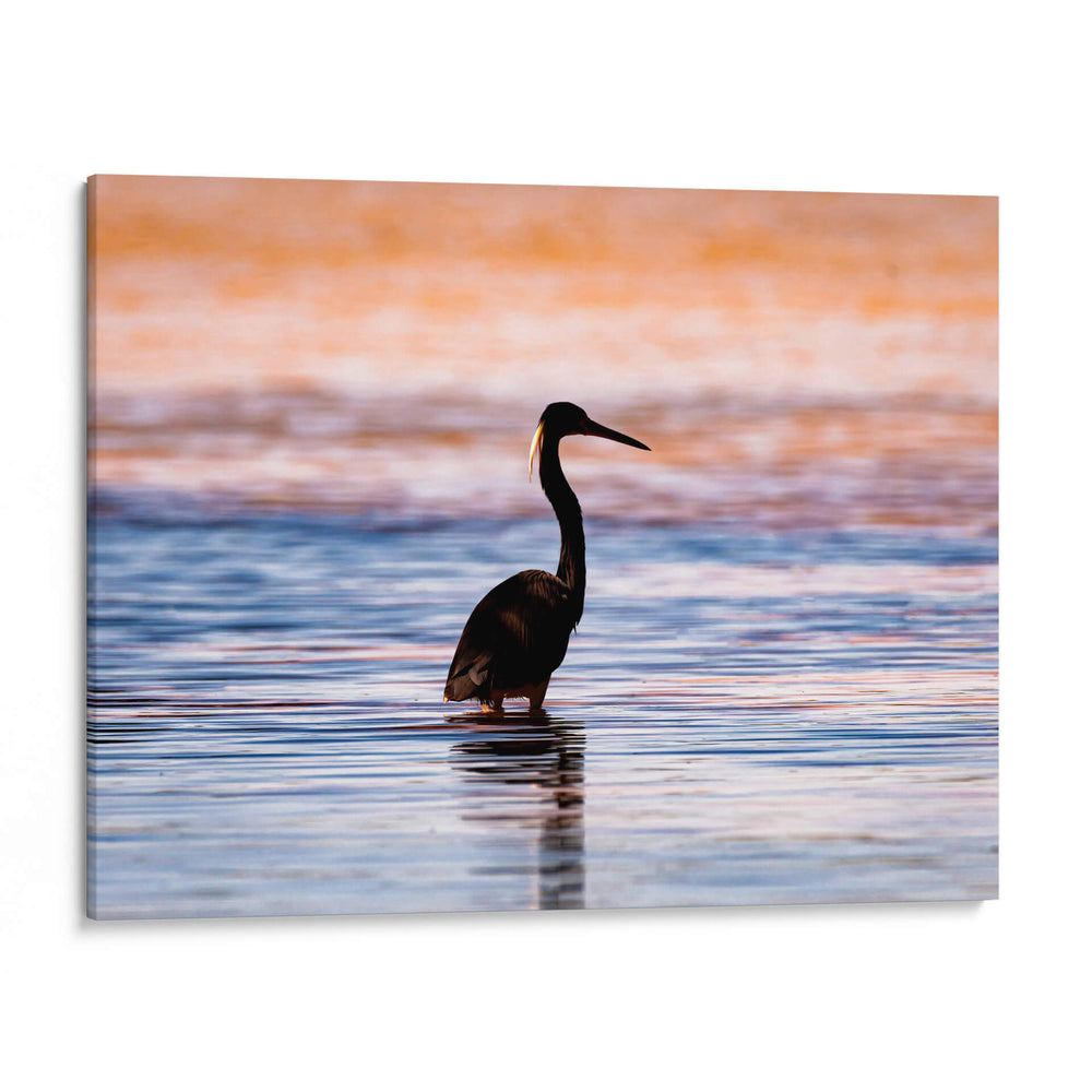Silueta de garza en el agua al atardecer. - Claudia Luna | Cuadro decorativo de Canvas Lab