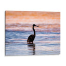 Silueta de garza en el agua al atardecer. - Claudia Luna | Cuadro decorativo de Canvas Lab