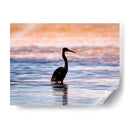 Silueta de garza en el agua al atardecer. - Claudia Luna | Cuadro decorativo de Canvas Lab