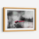 Libélula roja. - Claudia Luna | Cuadro decorativo de Canvas Lab