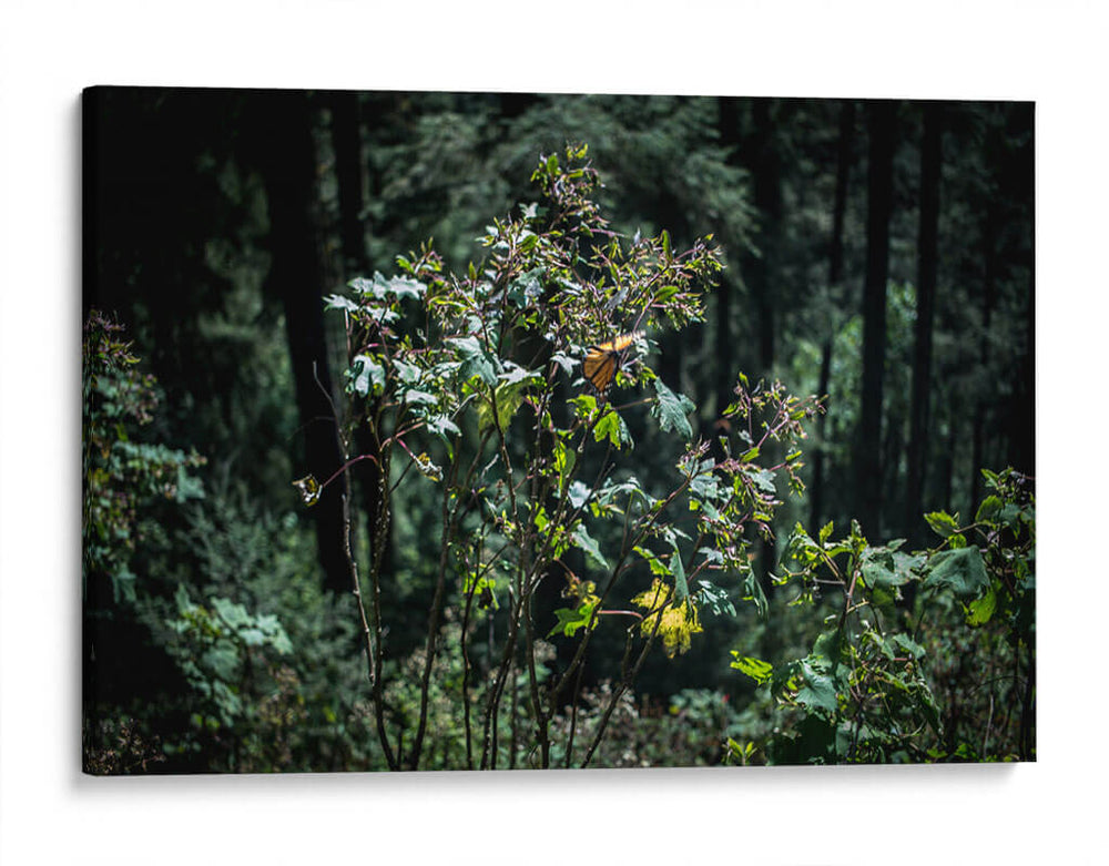 Bienvenida - Caed Vidrio | Cuadro decorativo de Canvas Lab