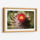 Cardo - Caed Vidrio | Cuadro decorativo de Canvas Lab