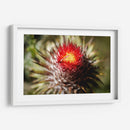 Cardo - Caed Vidrio | Cuadro decorativo de Canvas Lab