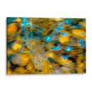 Frescos patrones de la naturaleza - FErB | Cuadro decorativo de Canvas Lab