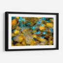 Frescos patrones de la naturaleza - FErB | Cuadro decorativo de Canvas Lab