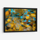 Frescos patrones de la naturaleza - FErB | Cuadro decorativo de Canvas Lab