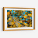 Frescos patrones de la naturaleza - FErB | Cuadro decorativo de Canvas Lab