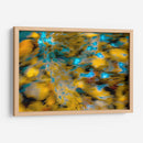 Frescos patrones de la naturaleza - FErB | Cuadro decorativo de Canvas Lab