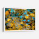 Frescos patrones de la naturaleza - FErB | Cuadro decorativo de Canvas Lab