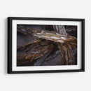 Espinas - Caed Vidrio | Cuadro decorativo de Canvas Lab