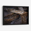 Espinas - Caed Vidrio | Cuadro decorativo de Canvas Lab