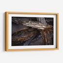 Espinas - Caed Vidrio | Cuadro decorativo de Canvas Lab