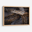 Espinas - Caed Vidrio | Cuadro decorativo de Canvas Lab