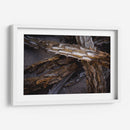 Espinas - Caed Vidrio | Cuadro decorativo de Canvas Lab