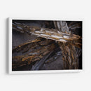 Espinas - Caed Vidrio | Cuadro decorativo de Canvas Lab