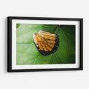 Guía espiritual - Caed Vidrio | Cuadro decorativo de Canvas Lab