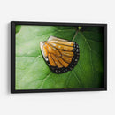 Guía espiritual - Caed Vidrio | Cuadro decorativo de Canvas Lab