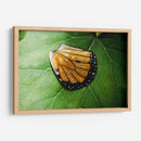 Guía espiritual - Caed Vidrio | Cuadro decorativo de Canvas Lab