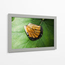 Guía espiritual - Caed Vidrio | Cuadro decorativo de Canvas Lab