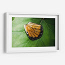 Guía espiritual - Caed Vidrio | Cuadro decorativo de Canvas Lab