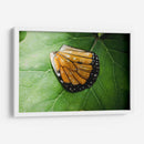 Guía espiritual - Caed Vidrio | Cuadro decorativo de Canvas Lab