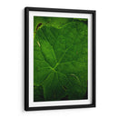 Hoja - Caed Vidrio | Cuadro decorativo de Canvas Lab