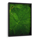 Hoja - Caed Vidrio | Cuadro decorativo de Canvas Lab