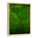 Hoja - Caed Vidrio | Cuadro decorativo de Canvas Lab