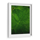 Hoja - Caed Vidrio | Cuadro decorativo de Canvas Lab