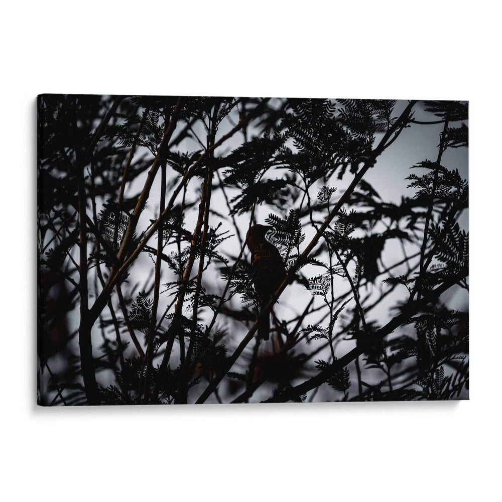 Silueta entre siluetas - Claudia Luna | Cuadro decorativo de Canvas Lab