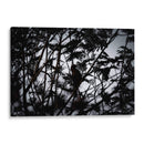 Silueta entre siluetas - Claudia Luna | Cuadro decorativo de Canvas Lab