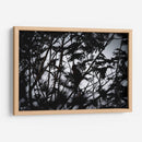 Silueta entre siluetas - Claudia Luna | Cuadro decorativo de Canvas Lab