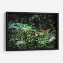 Monarca - Caed Vidrio | Cuadro decorativo de Canvas Lab