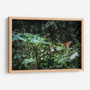 Monarca - Caed Vidrio | Cuadro decorativo de Canvas Lab